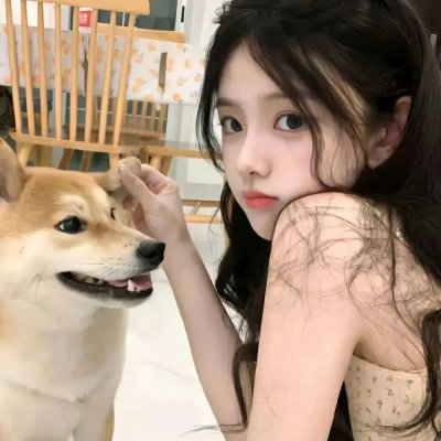 美国老爸第十六季